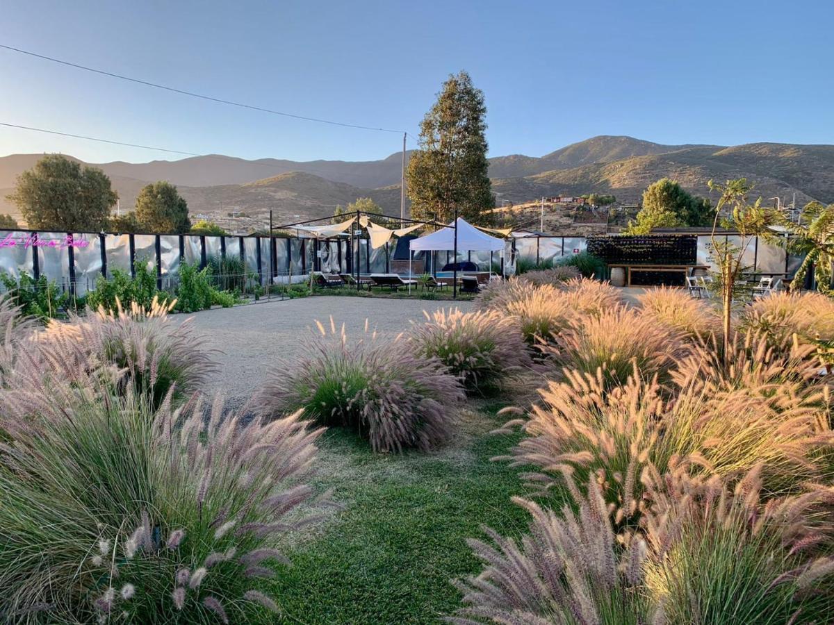 La Finca De Vane Valle de Guadalupe Exteriör bild