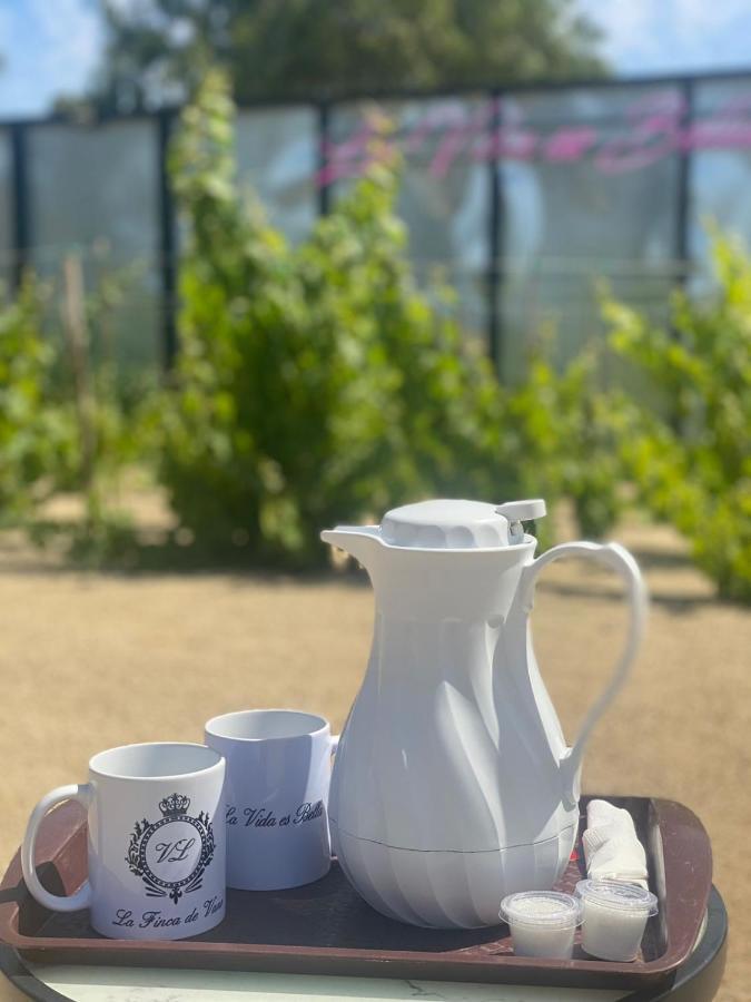 La Finca De Vane Valle de Guadalupe Exteriör bild